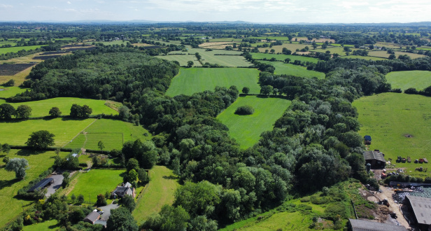 Lightwood Plantation