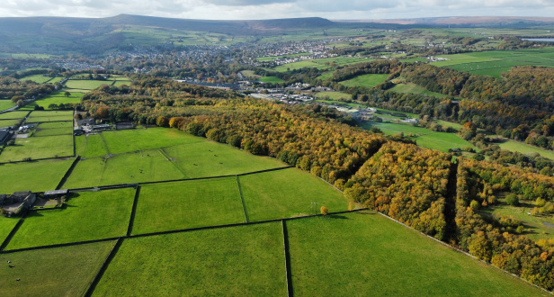 Honley Woods